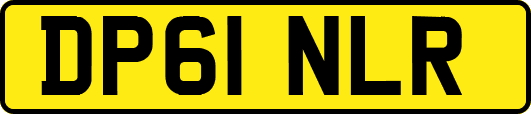 DP61NLR