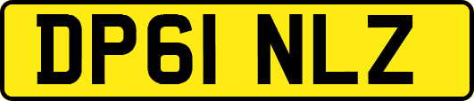 DP61NLZ