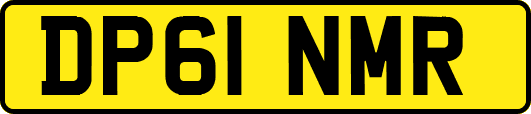 DP61NMR