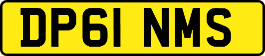 DP61NMS