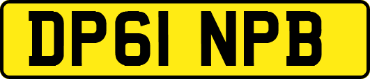 DP61NPB