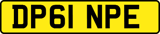 DP61NPE