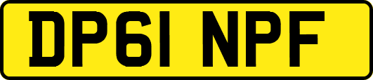 DP61NPF