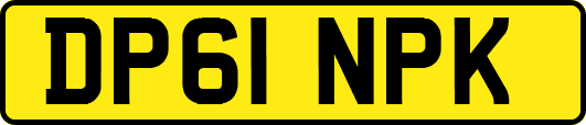 DP61NPK