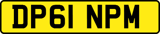 DP61NPM