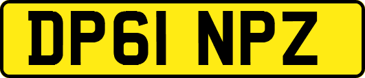 DP61NPZ
