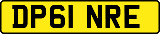 DP61NRE