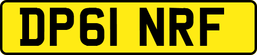 DP61NRF
