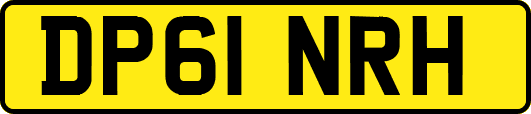 DP61NRH