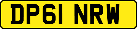 DP61NRW