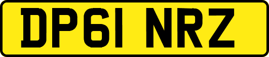 DP61NRZ
