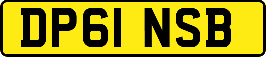 DP61NSB