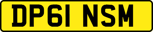 DP61NSM