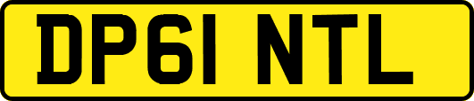DP61NTL