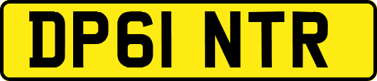 DP61NTR