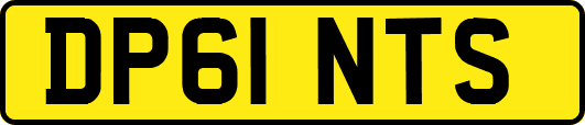 DP61NTS