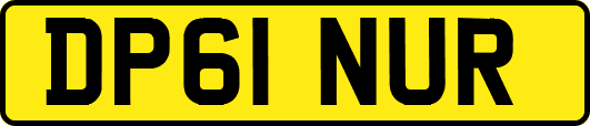 DP61NUR