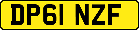 DP61NZF