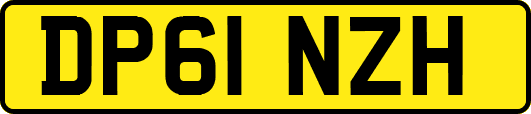 DP61NZH