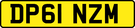 DP61NZM