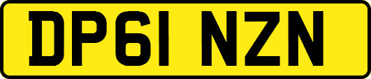 DP61NZN