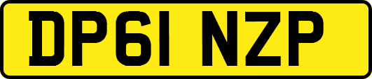 DP61NZP