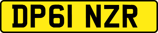 DP61NZR