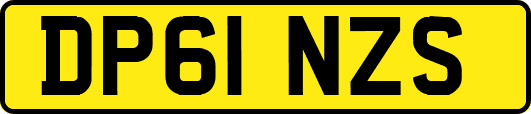 DP61NZS