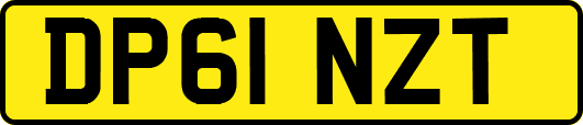 DP61NZT
