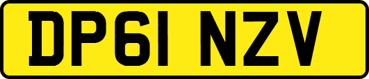 DP61NZV