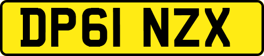 DP61NZX
