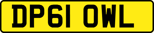 DP61OWL