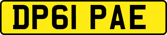 DP61PAE