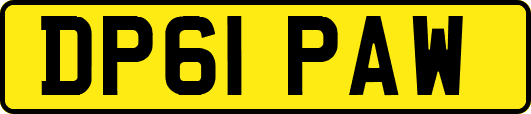 DP61PAW