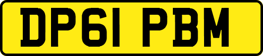 DP61PBM