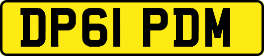 DP61PDM