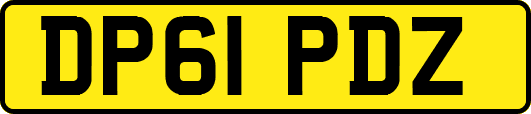DP61PDZ