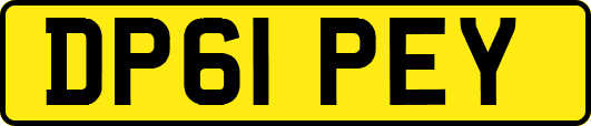 DP61PEY