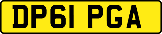 DP61PGA