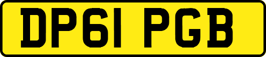 DP61PGB