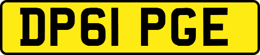 DP61PGE