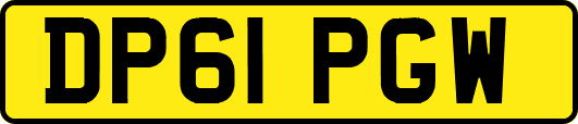 DP61PGW
