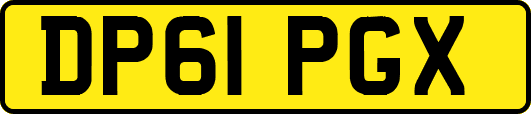 DP61PGX