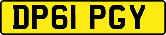 DP61PGY
