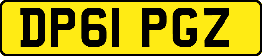 DP61PGZ
