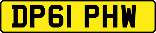 DP61PHW