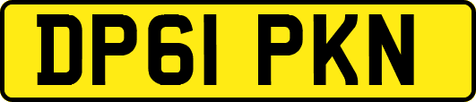 DP61PKN