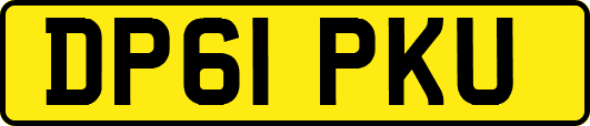 DP61PKU