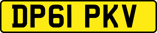 DP61PKV