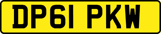 DP61PKW